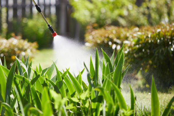 24/7 Emergency Termite Control experts in Forest Acres, SC