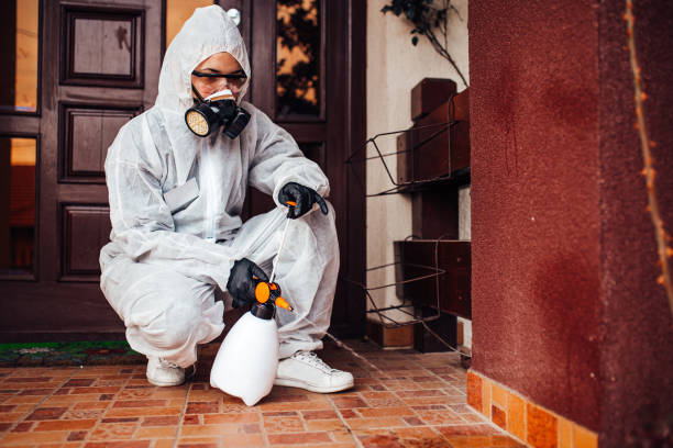 Reliable Termite Control contractor in Forest Acres, SC by Nex Pest Control