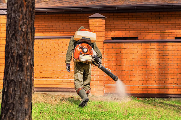 Trusted Bed Bug Control service in Forest Acres, SC - Nex Pest Control